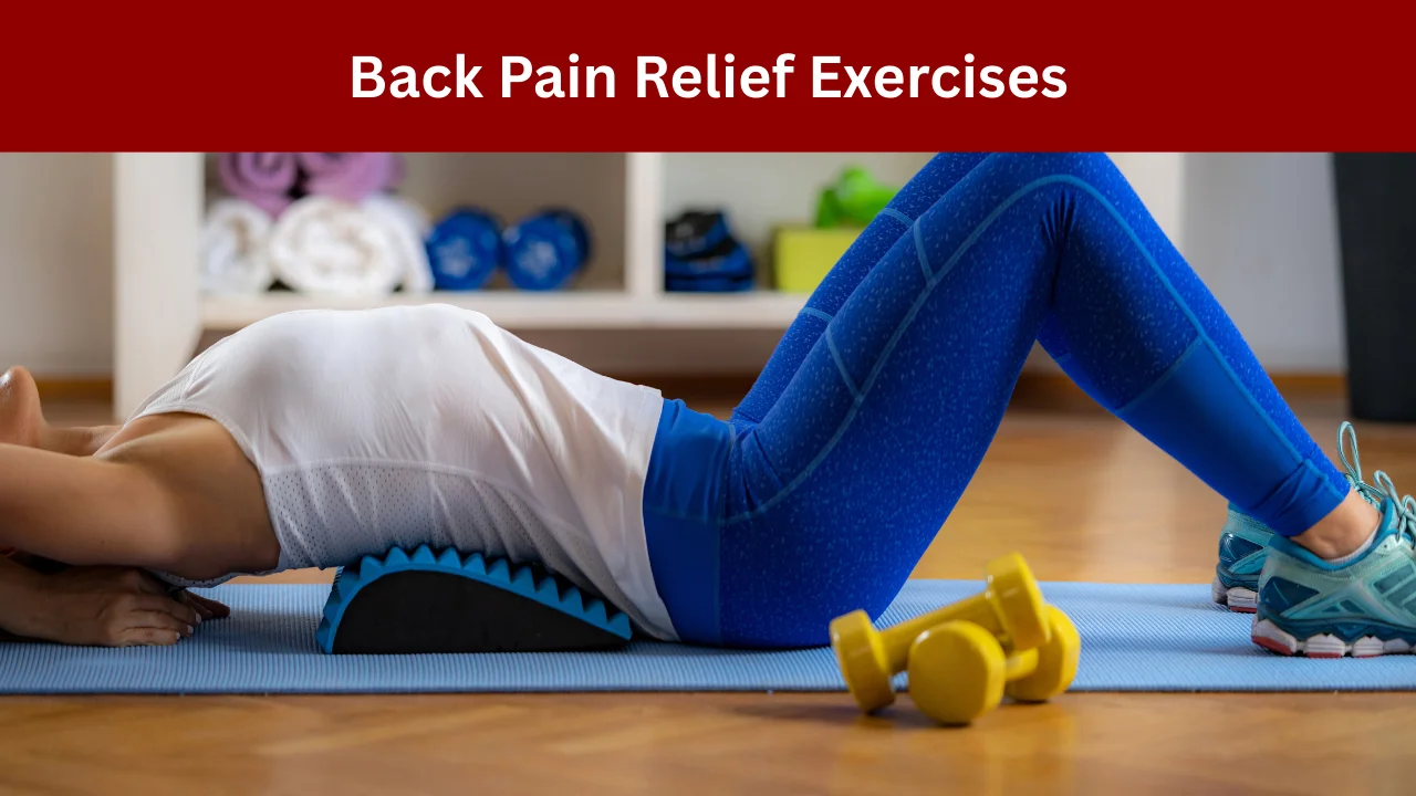 Back Pain Relief Exercises