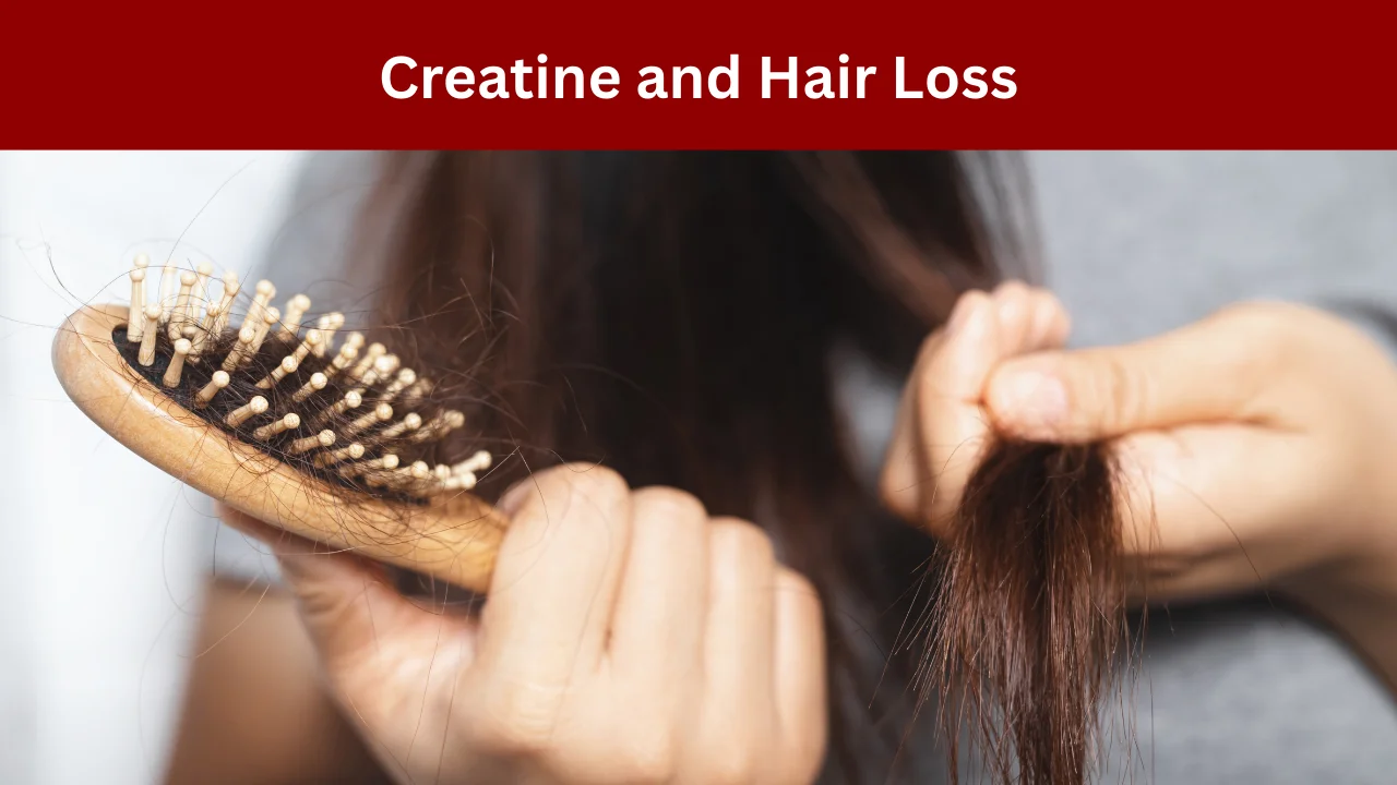 Creatine and Hair Loss