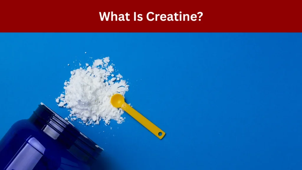 What Is Creatine?