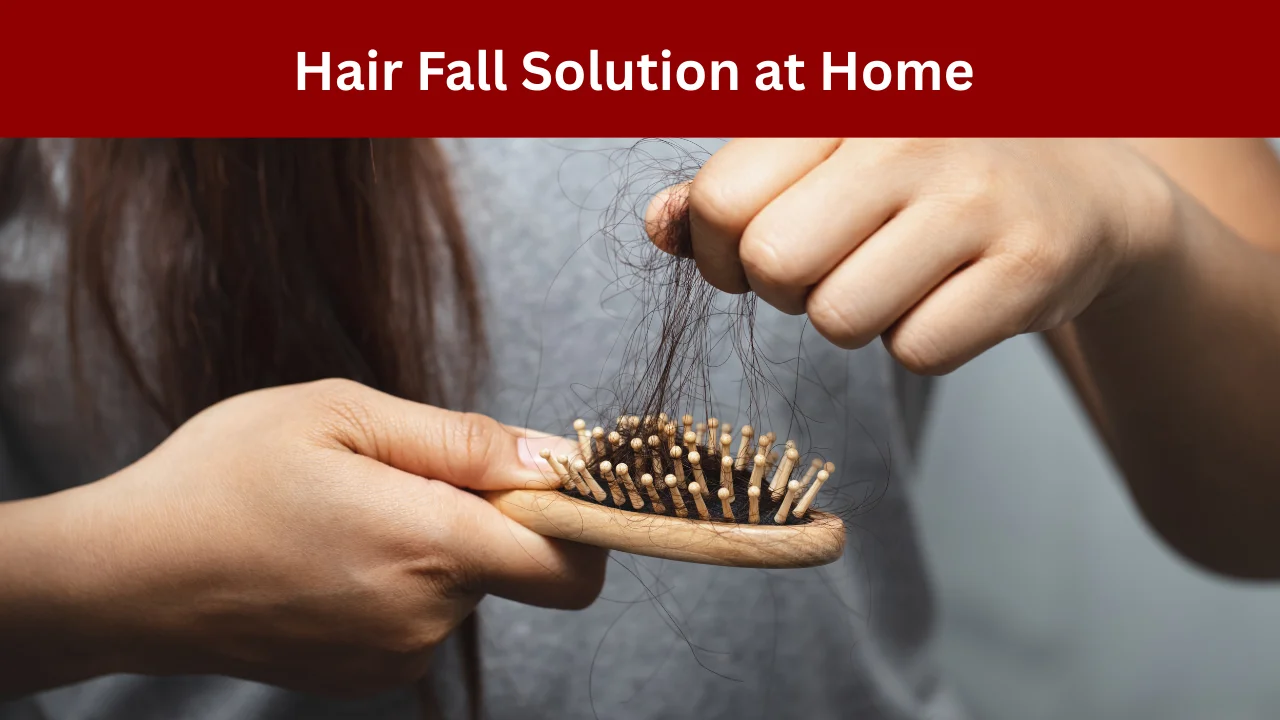 Hair Fall Solution at Home
