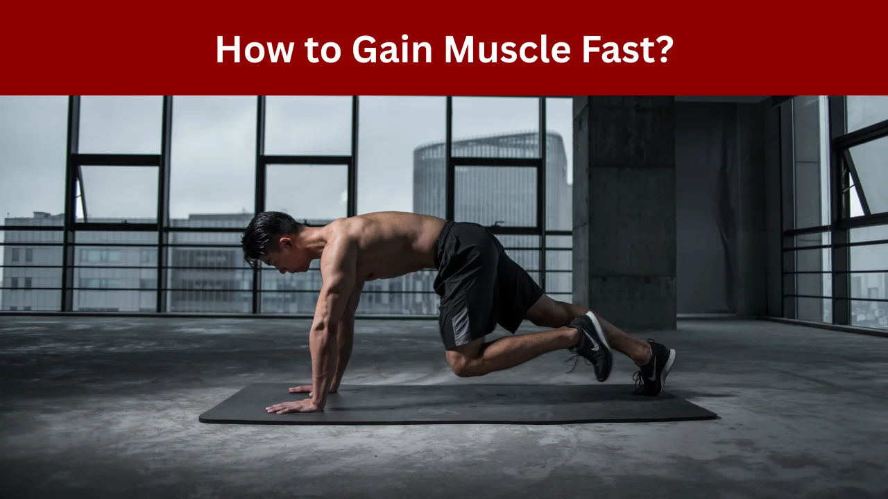 How to Gain Muscle Fast?