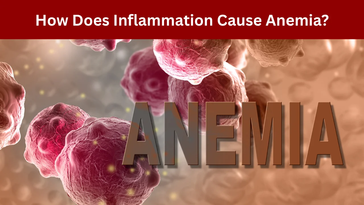 How Does Inflammation Cause Anemia_