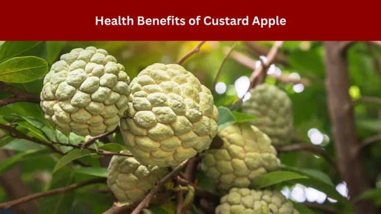 Health Benefits of Custard Apple